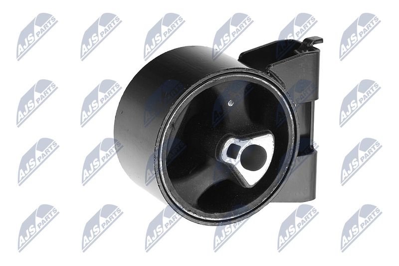 Paigutus, Mootor, NTY ZPS-CH-054