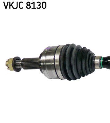 VKJC 8130_2.JPG