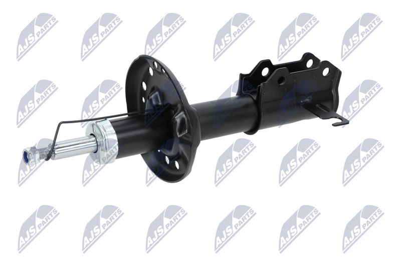 Amort, NTY A-PL-029