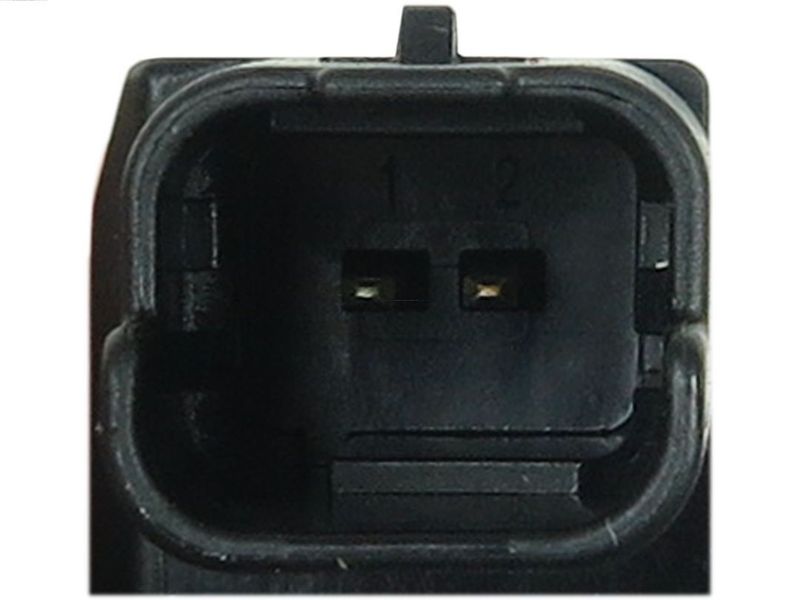 97077.JPG