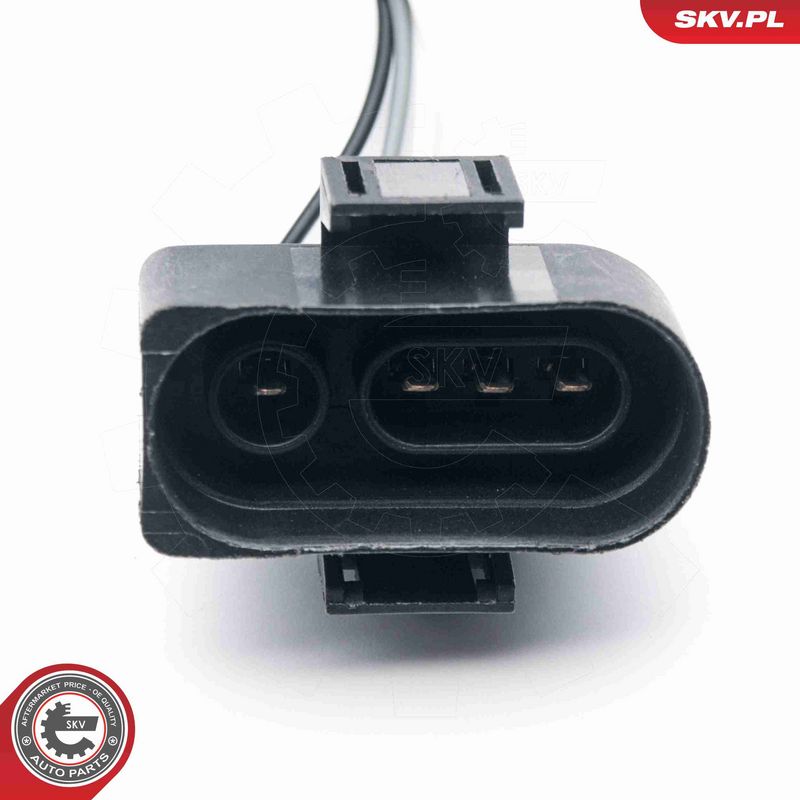 ESEN SKV 09SKV613 Oxygen Sensor