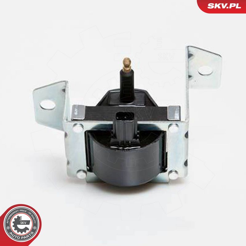 ESEN SKV 03SKV069 Ignition Coil