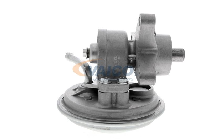 VAICO V25-1907 Mounting, engine