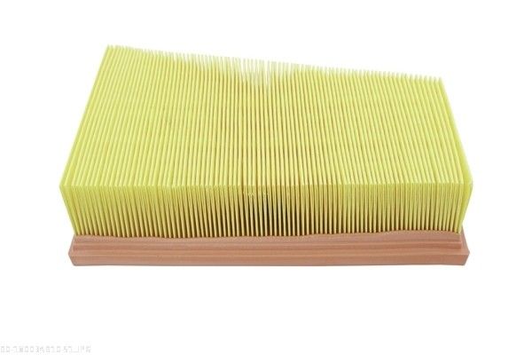 AUTOMEGA 180034910 Air Filter