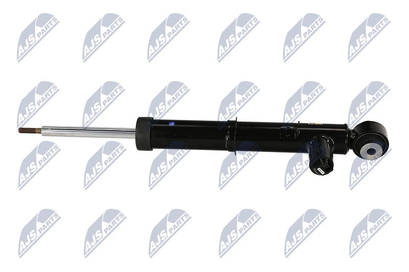 Amort, NTY A-LR-034