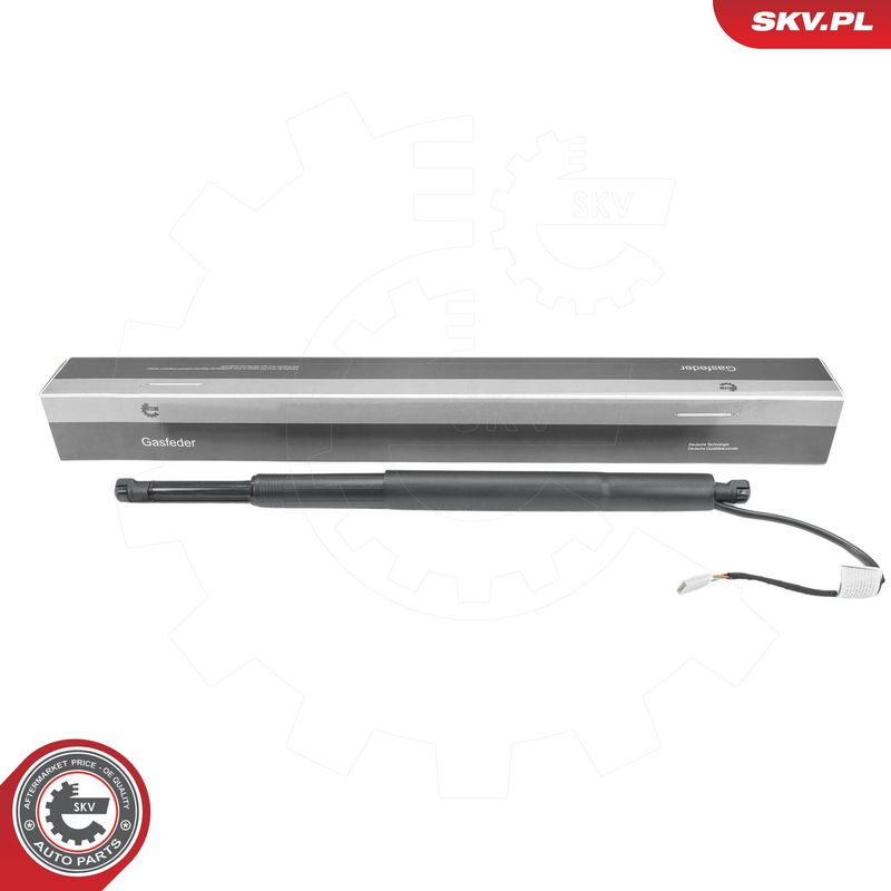 Elektrimootor, tagaluuk, ESEN SKV 52SKV299