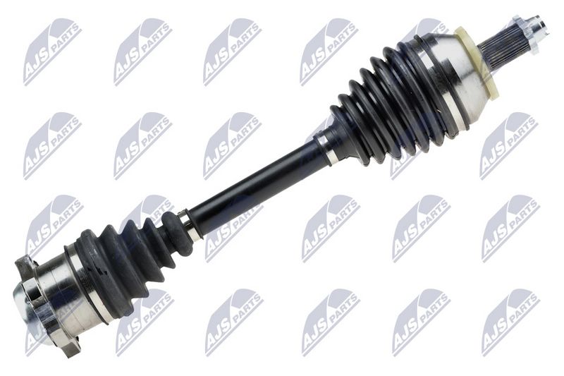 npw-vw-093_1-wm.JPG