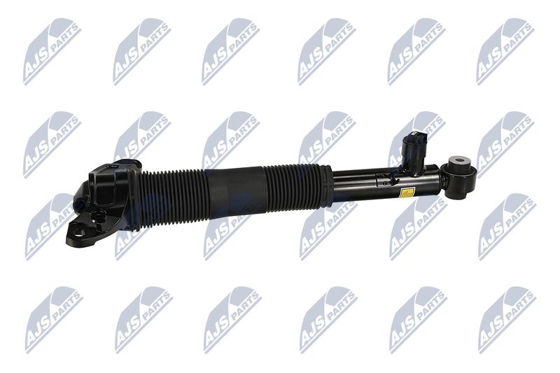Amort, NTY A-LR-037