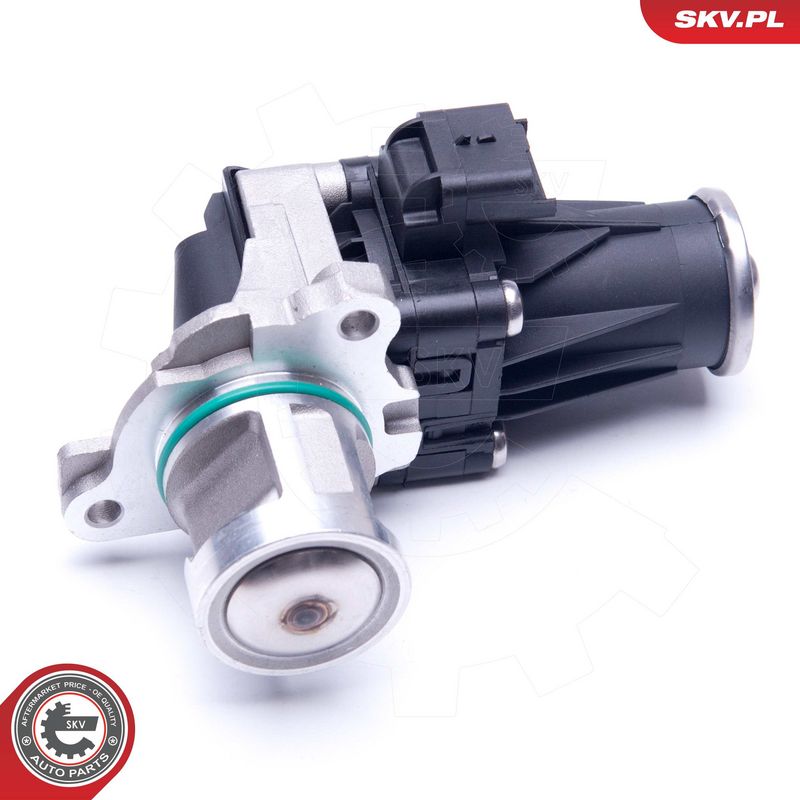 EGR-klapp, ESEN SKV 14SKV185