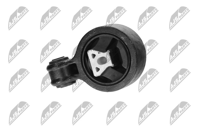 Paigutus, Mootor, NTY ZPS-CH-117