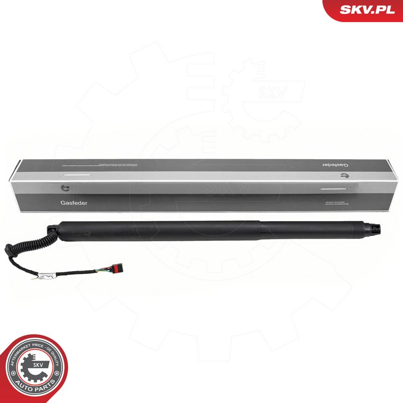 Elektrimootor, tagaluuk, ESEN SKV 52SKV239