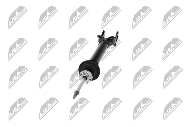 Amort, NTY A-CH-079