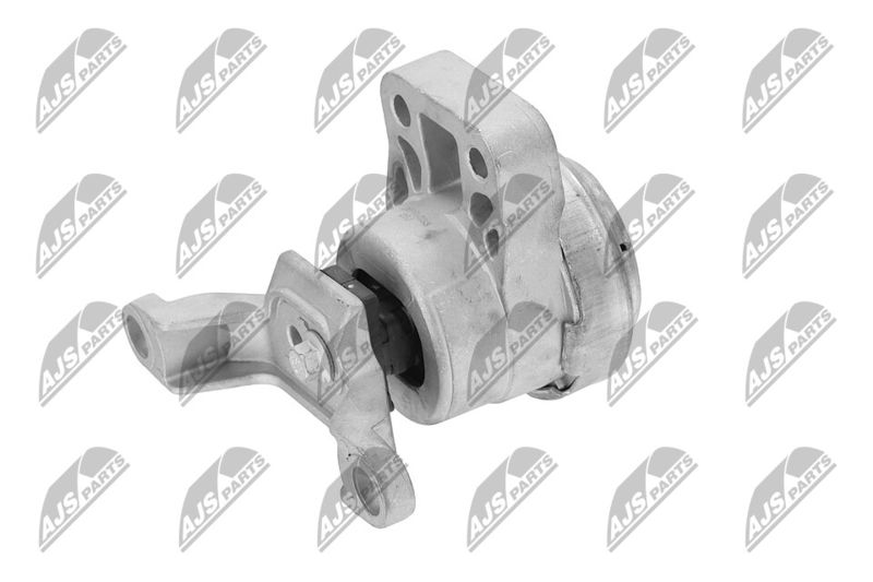 Paigutus, Mootor, NTY ZPS-FR-033