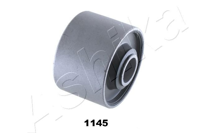 GOM-1145_1.JPG