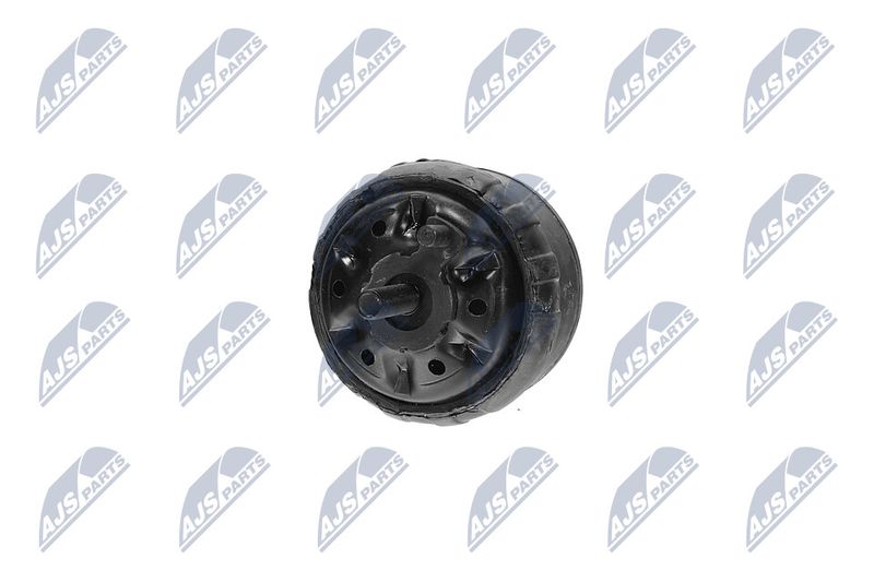 Paigutus, Mootor, NTY ZPS-CH-139