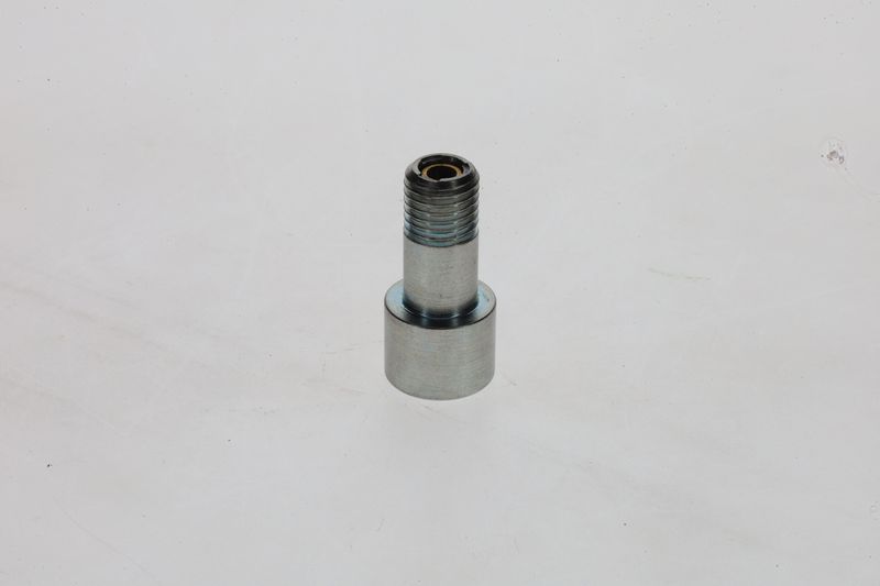 Surub 1 463 456 376 BOSCH