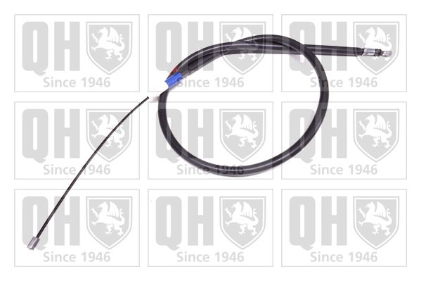QH_BC3815.JPG