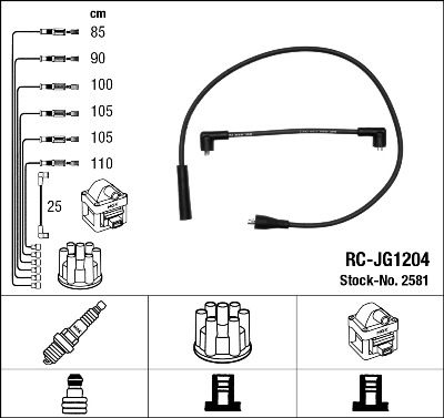 NGK Ignition Cable Kit 2581