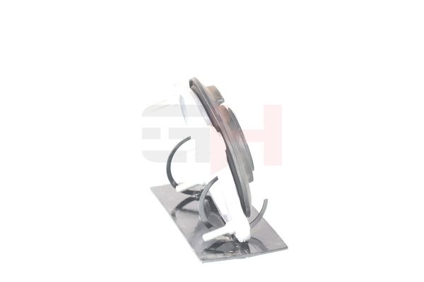 Vedruamordi tugilaager, GH GH-364718