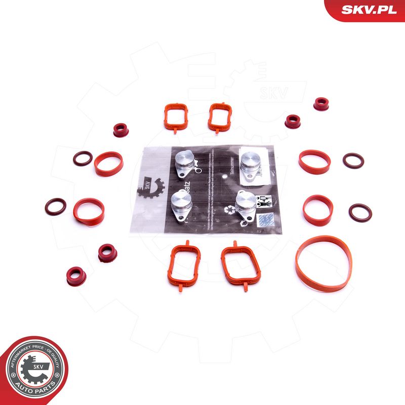 Remondikomplekt, imitoru moodul, ESEN SKV 49SKV564