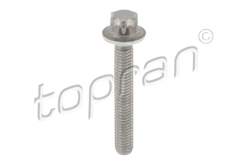 TOPRAN 411 096 Schraube
