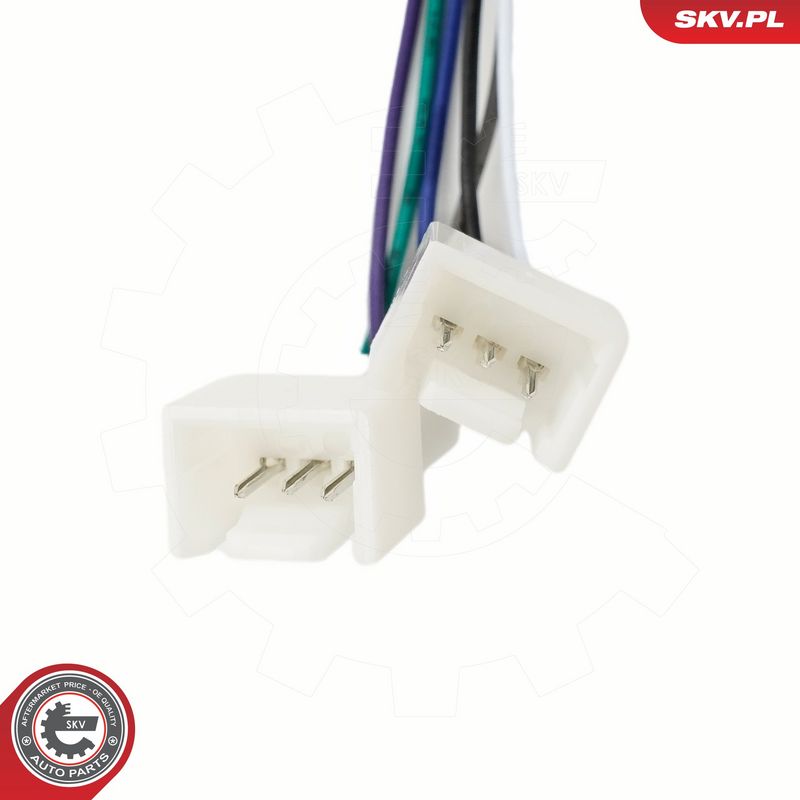 Käigukanginupp, ESEN SKV...