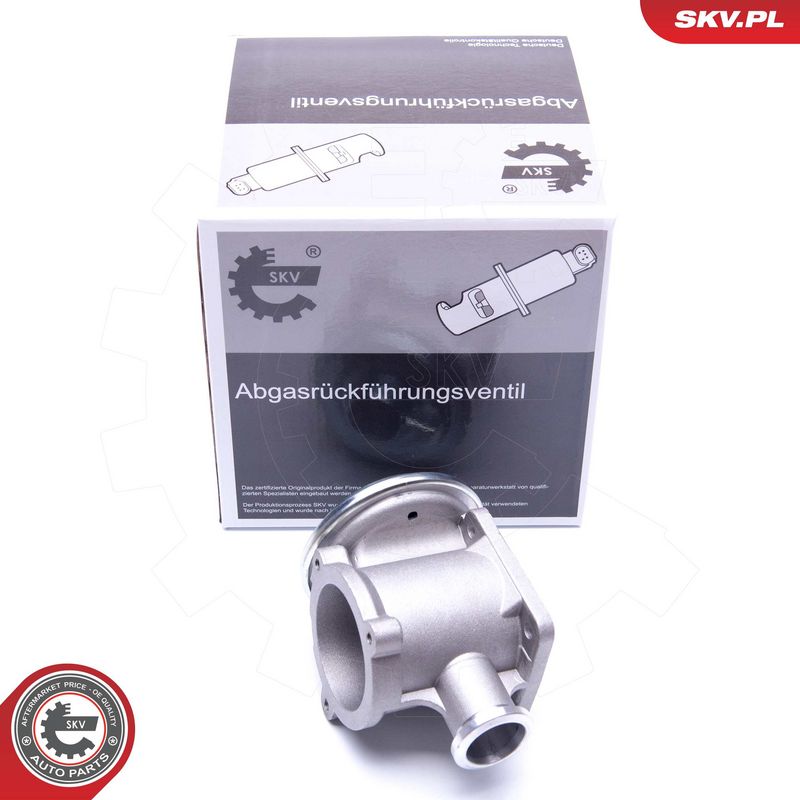 EGR-klapp, ESEN SKV 14SKV177