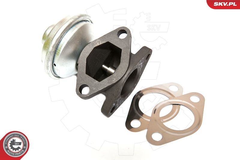 ESEN SKV 14SKV052 EGR Valve