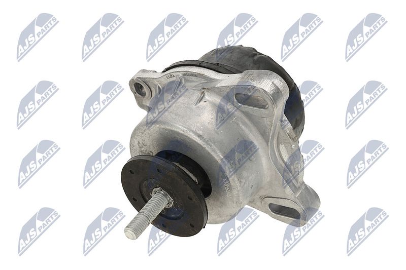 Paigutus, Mootor, NTY ZPS-FR-013