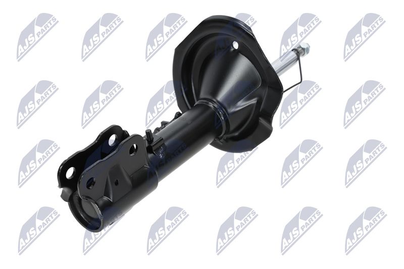 Amort, NTY A-MS-016