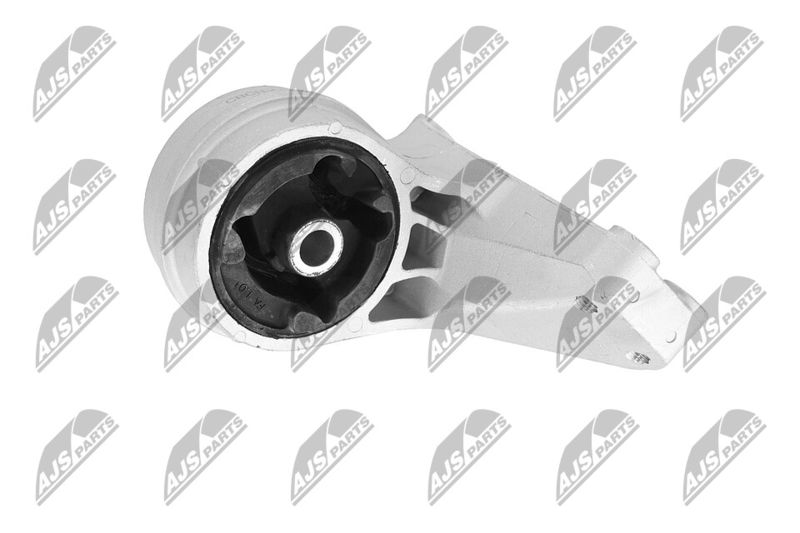 Paigutus, Mootor, NTY ZPS-CH-148