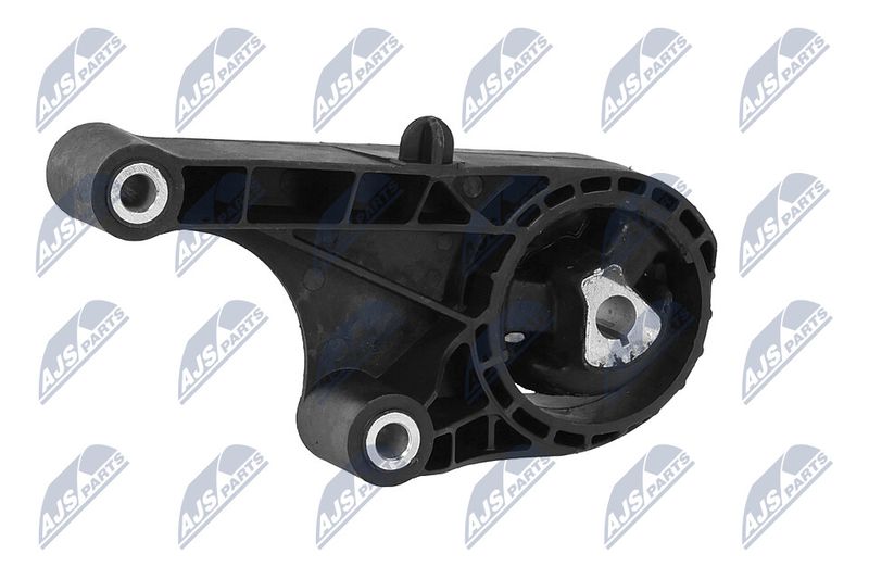 Paigutus, Mootor, NTY ZPS-PL-057
