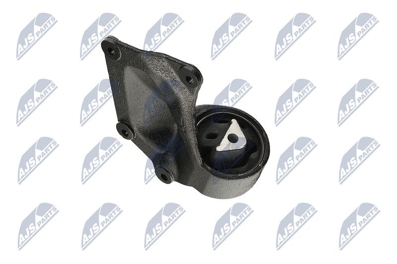 Paigutus, Mootor, NTY ZPS-CH-004