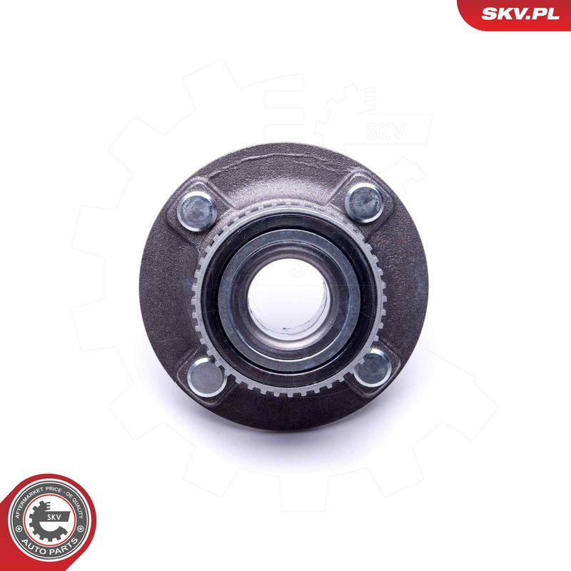 Rattalaagrikomplekt, ESEN SKV 29SKV380