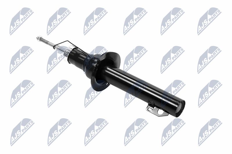 Amort, NTY A-CH-065