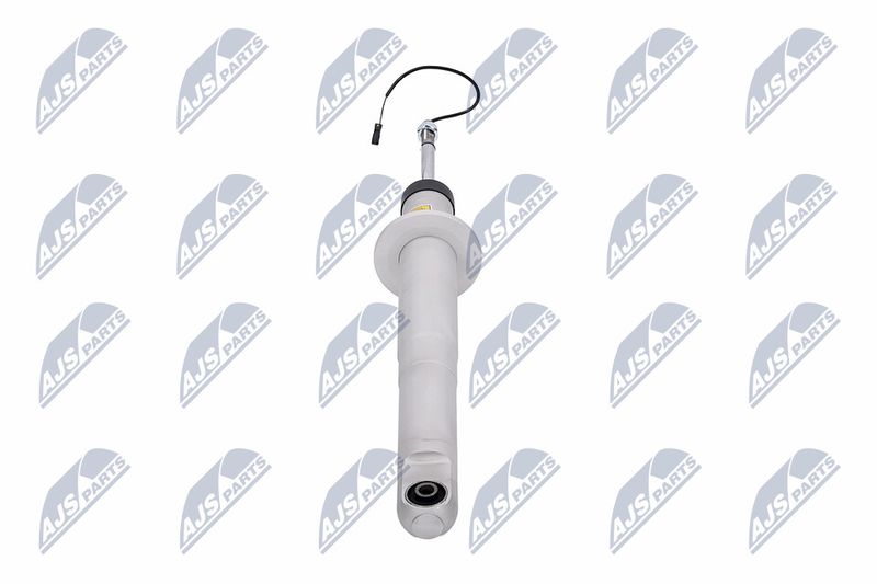 Amort, NTY A-MA-003