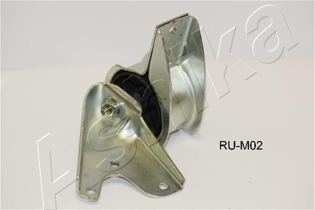 GOM-M02_1.JPG