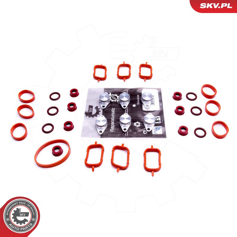 Remondikomplekt, imitoru moodul, ESEN SKV 49SKV568