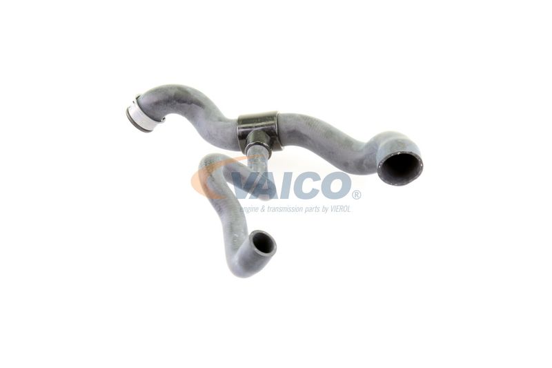 VAICO V30-1660 Radiator Hose