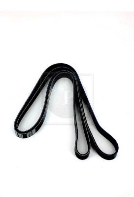 NPS K111A13 - V-ribbed Belt