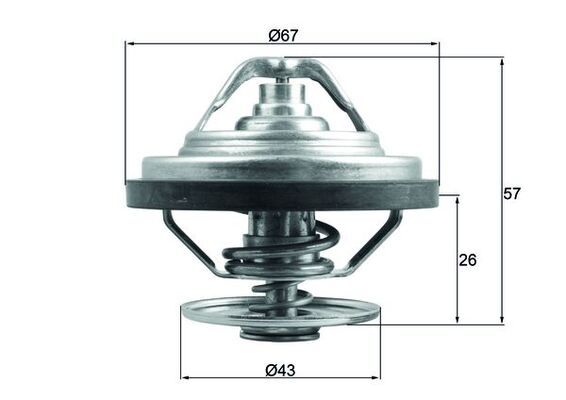 termostat MAN 79 °C TX15879