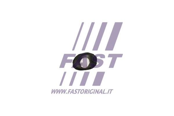 FT96300_2_1.JPG