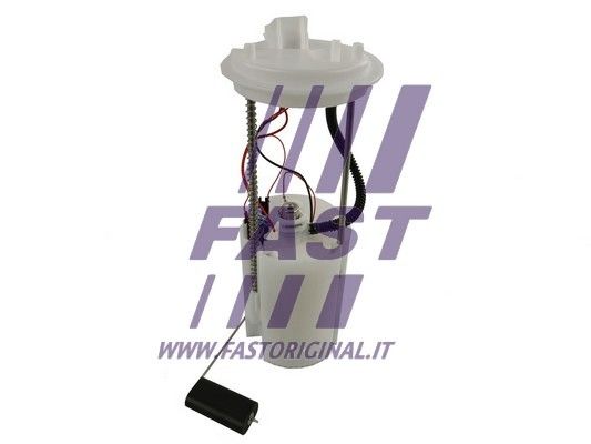 FT53015_1_1.JPG