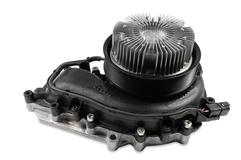 P9808 (1).JPG