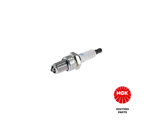 NGK 3821