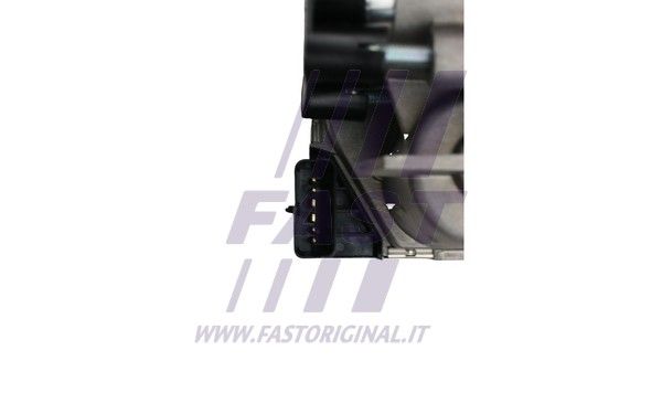 FT50412_4_1.JPG