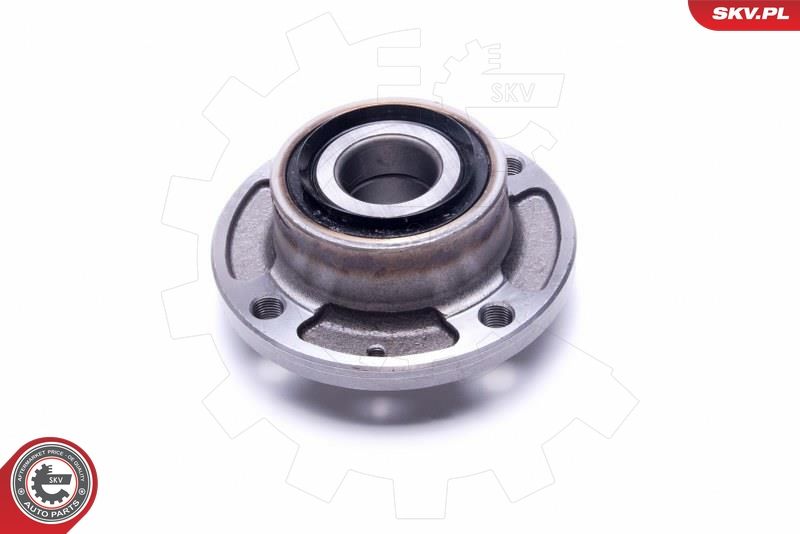 ESEN SKV 29SKV448 Wheel Bearing Kit