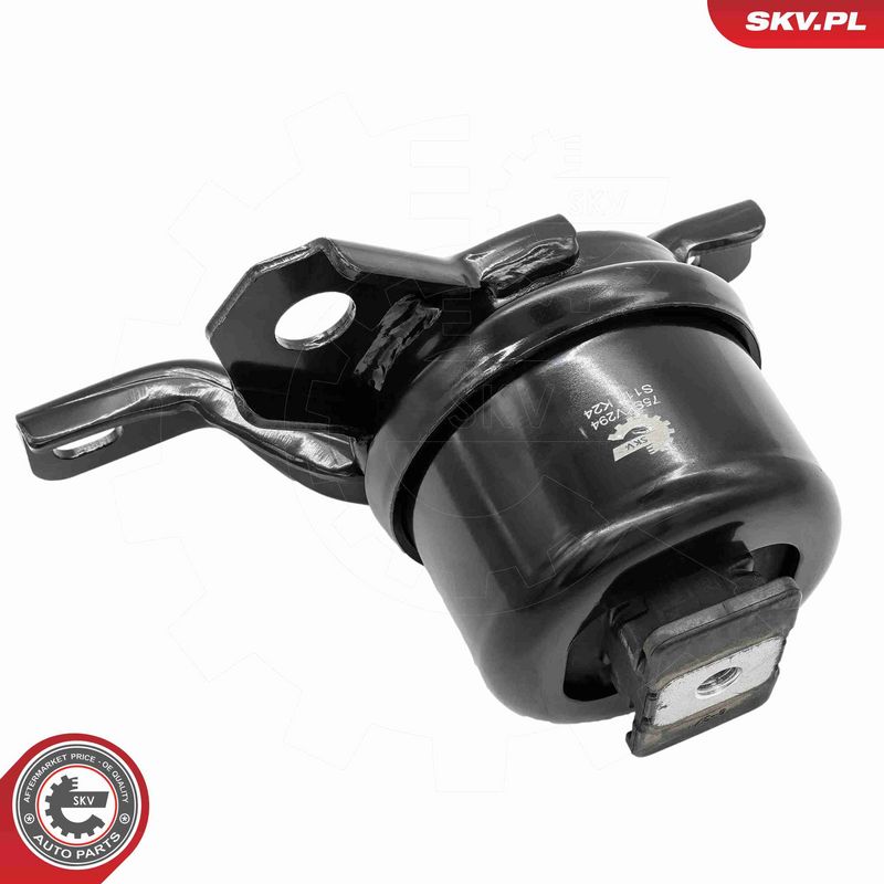 ESEN SKV 75SKV294 Mounting, engine