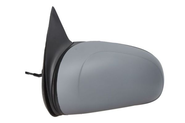 BLIC 5402-04-1112216P Exterior Mirror