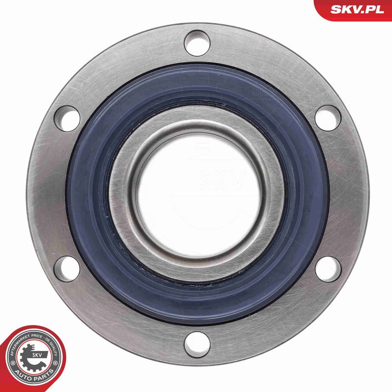 ESEN SKV 29SKV703 Wheel Bearing Kit